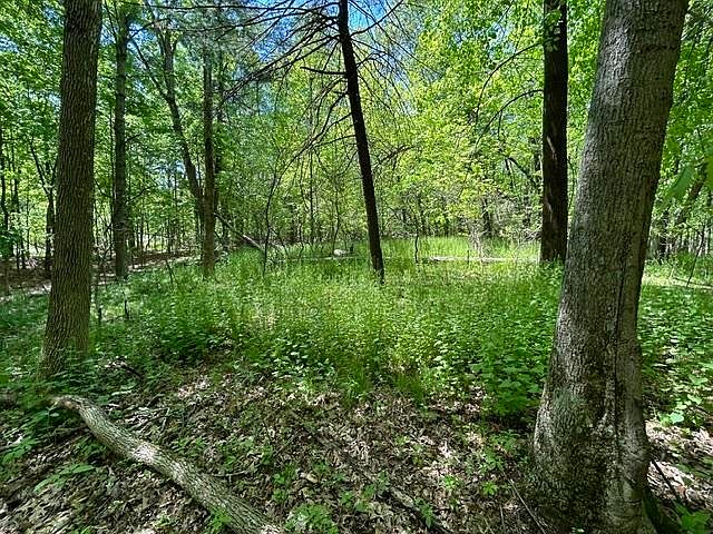 1st image of LOT 23 S Badger Ln