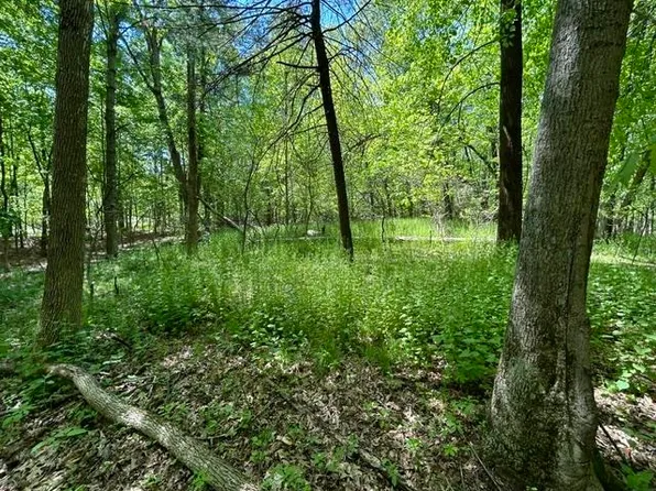 LOT 23 S Badger Ln, Arkdale, WI 54613
