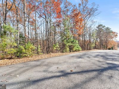 26 & 27 Spring Crest Rd, Cleveland, GA, 30528