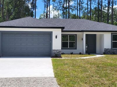 1573 Berrybush St, Bunnell, FL, 32110