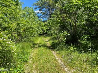 156 Red Wing Ln, Deer Lodge, TN 37726