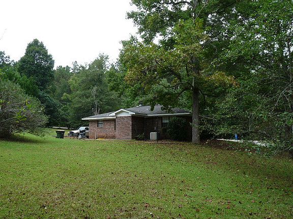 Rear View
