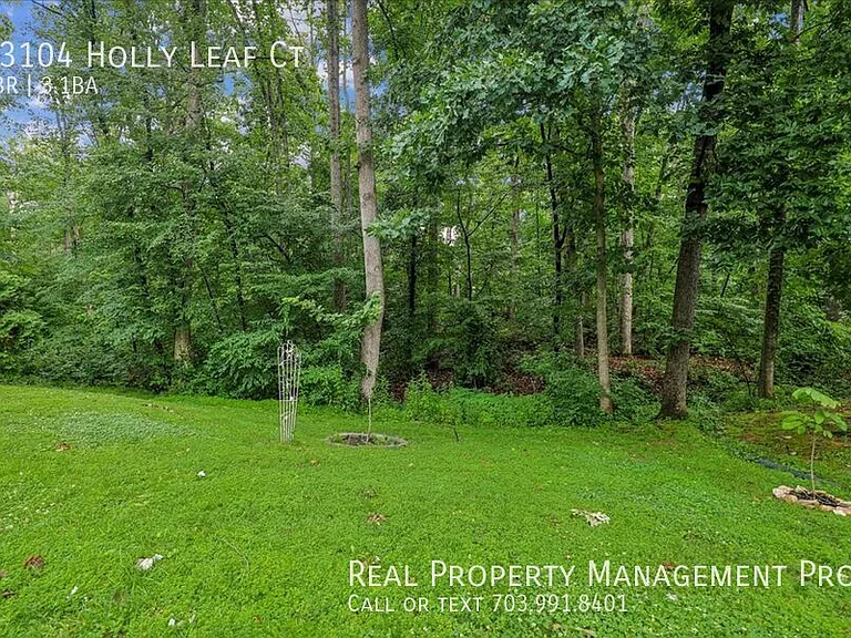 13104 Holly Leaf Ct — Photo 13