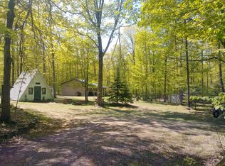 1655 Swamp Trl, Afton, MI 49705