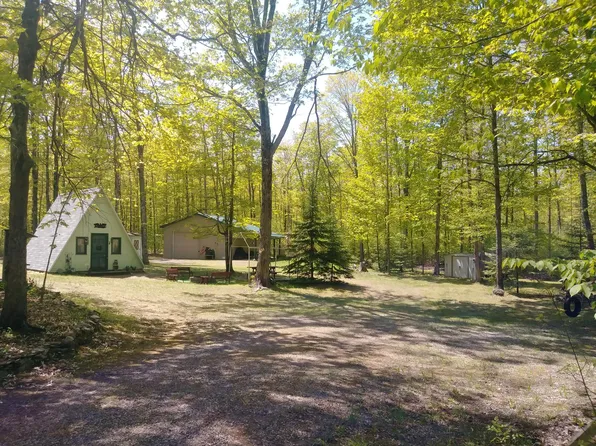 1655 Swamp Trl, Afton, MI 49705