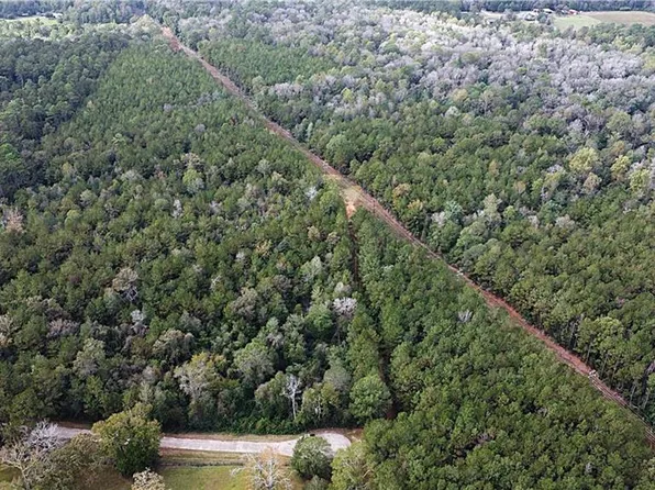 Holliday Rd, Folsom, LA 70437