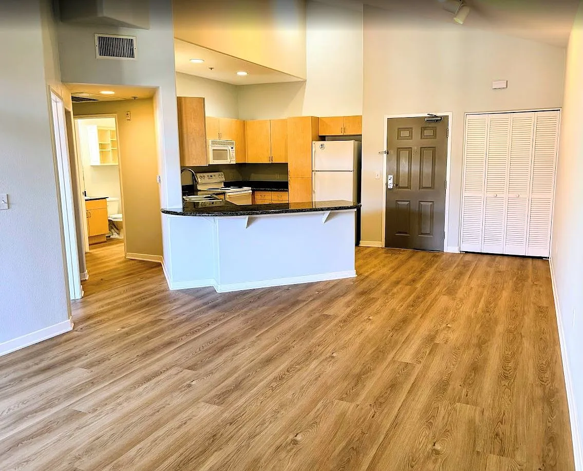 1 bed, 721 sqft, $2,595 — Photo 2