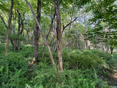 Fish Hatchery Ln, Montebello, VA, 24464