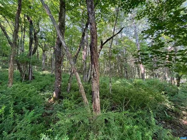 Fish Hatchery Ln, Montebello, VA 24464