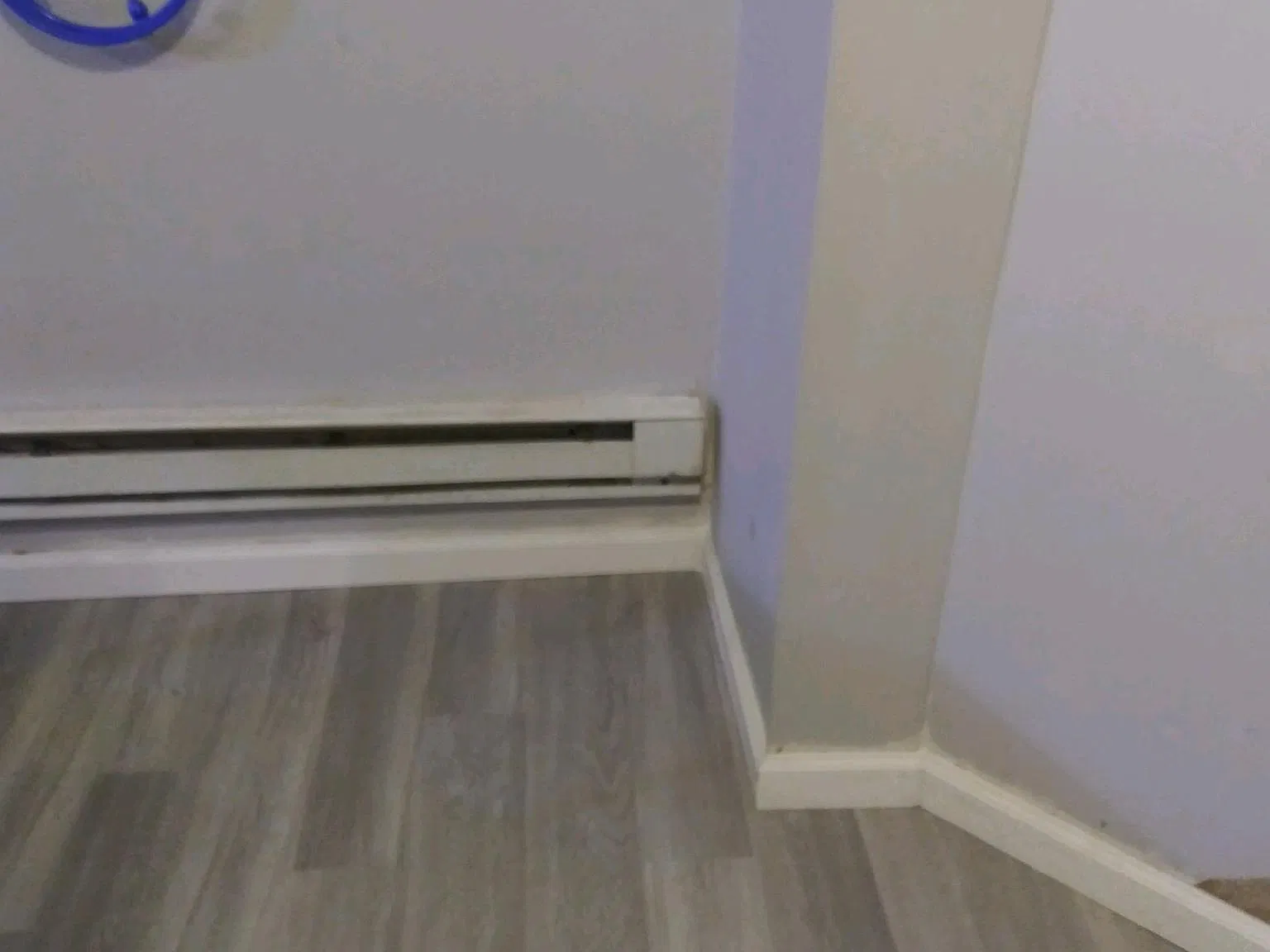 Studio, 625 sqft, $800 — Photo 4
