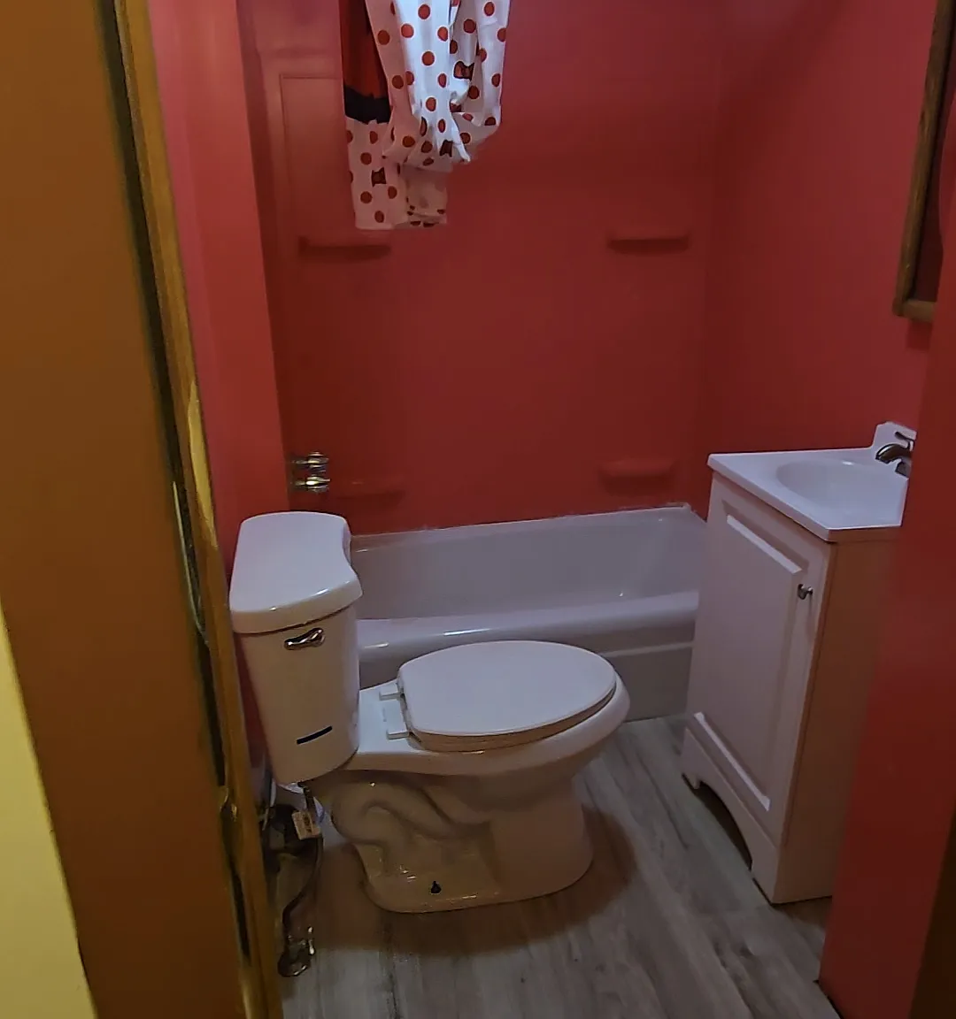 1 bed, $800 — Photo 4