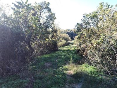 1394 Peeled Oak Rd, Owingsville, KY, 40360