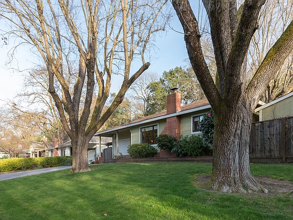 _3_141 Sequoia 03.jpg