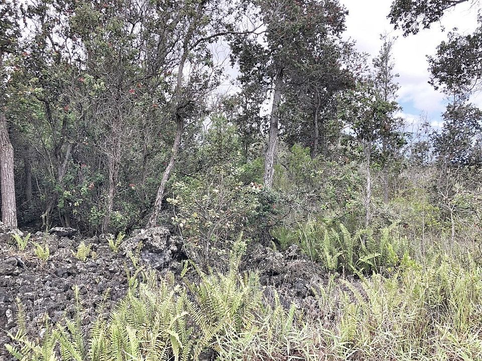 2nd image of Coral Pkwy Lot 12
