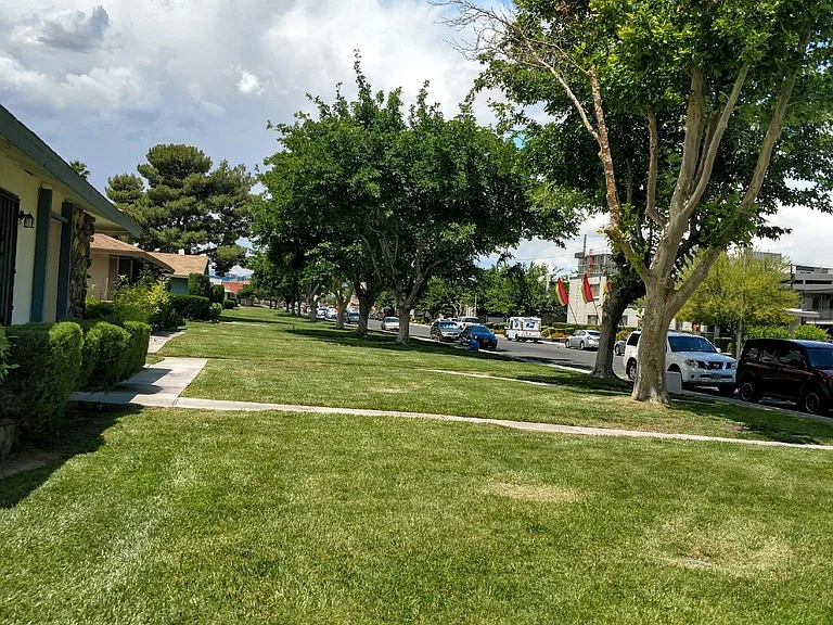 Elizabeth Ave — Photo 2