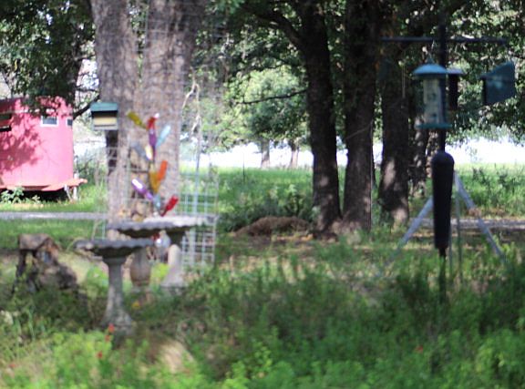 5th image of 2337 Goehmann Ln