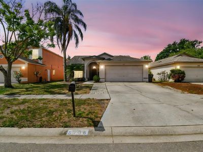 8736 Huntfield St, Tampa, FL, 33635