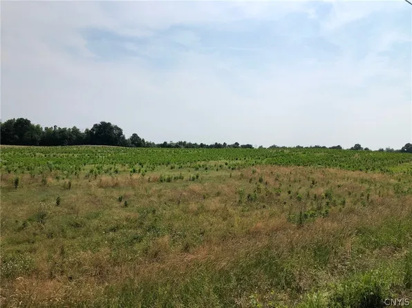 0 Dutch Ridge Rd Lot 5, Oswego, NY 13126