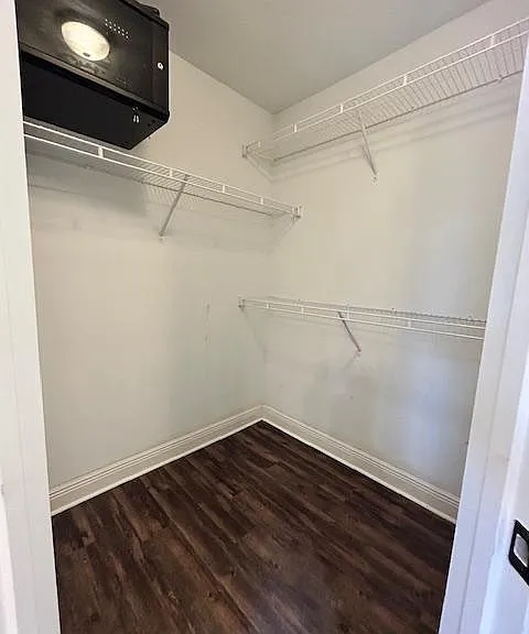 Master bathroom walk in closet #2