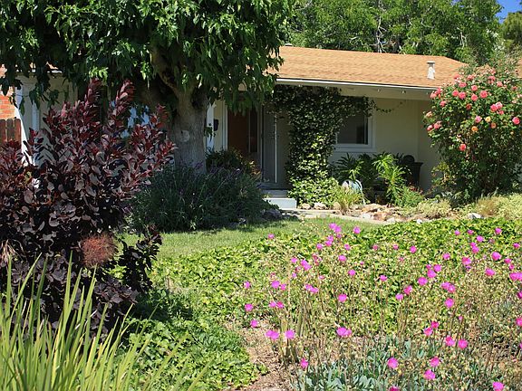 Front Yard in the Spring