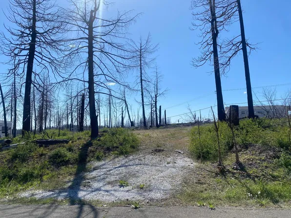 6723 Tyler Dr, Grizzly Flats, CA 95636