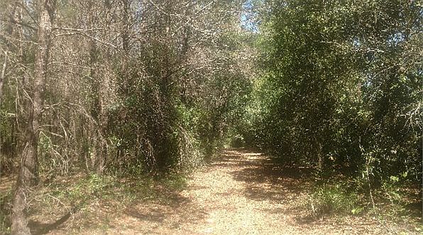 2nd image of 1429 Skunk Valley Rd