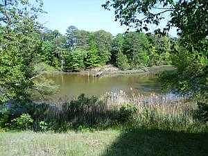 Back Yard and Creek View