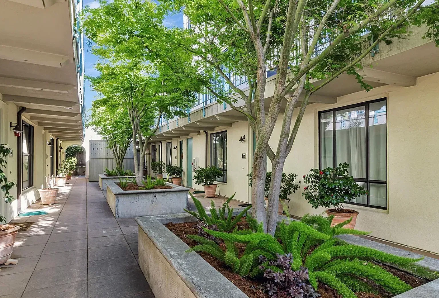 1 bed, 560 sqft, $2,500 — Photo 4