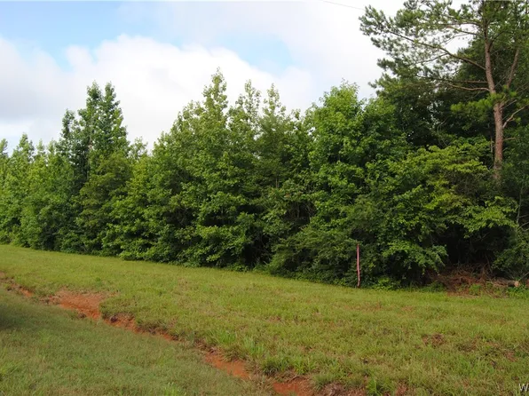 0 Highway 13 N, Bankston, AL 35542