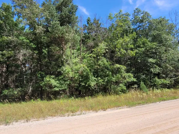 E Pine Hill Ave, White Cloud, MI 49349