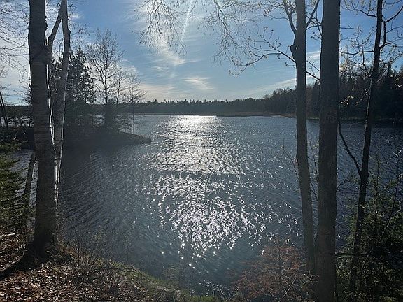 4th image of Lot 3 Canvasback Lane