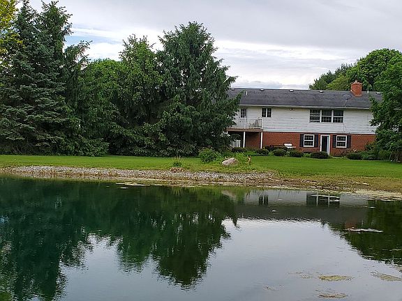 Walk out basement to pond