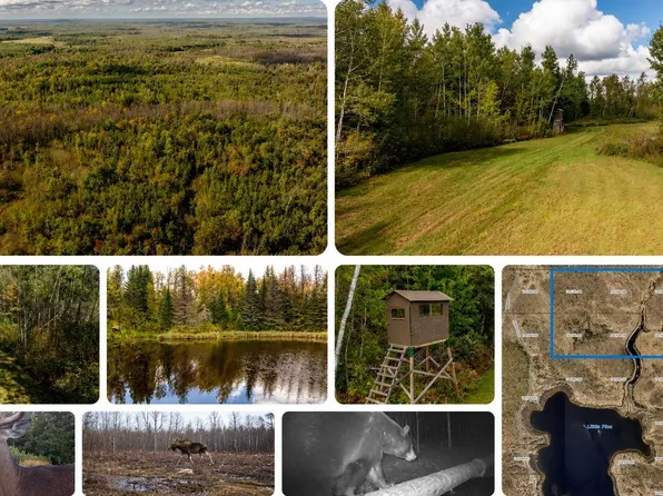 Little Pine Rd, Emily, MN 56447