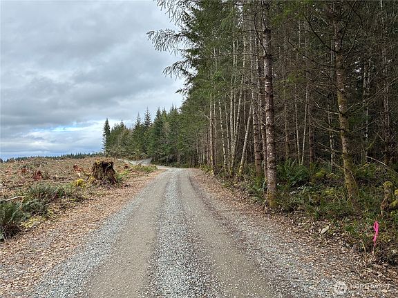 3rd image of 28840 Freelane Road