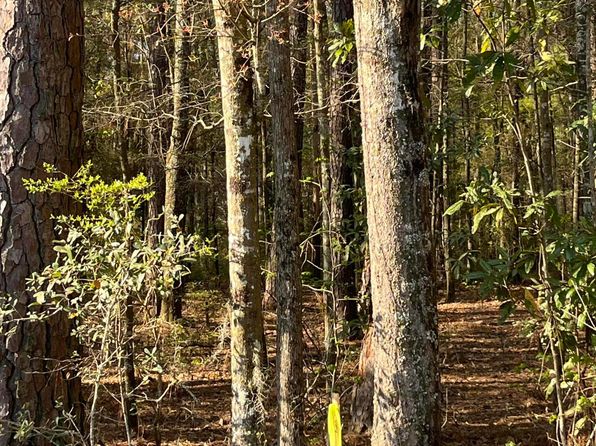 LOT 3 Old Military Rd, Adams Run, SC 29426