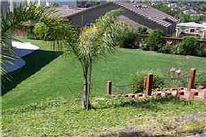 4th image of 2905 Camden Dr
