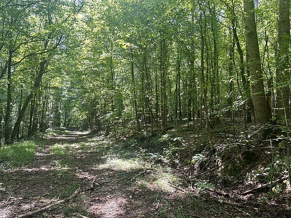 5th image of 7721 Wayland Springs Rd