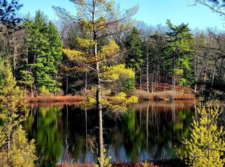 6203 Sunshine Dr, Irons, MI 49644