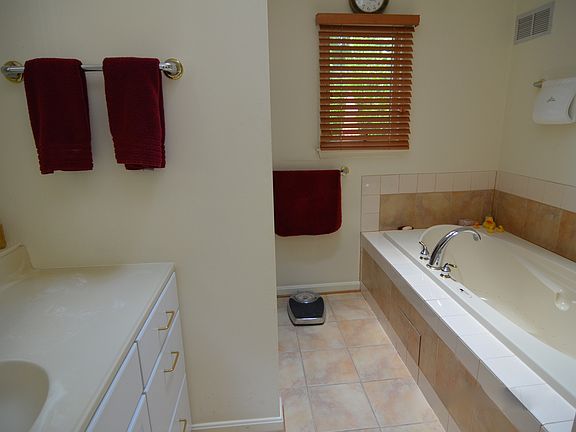 Downstairs bath: shower+tub