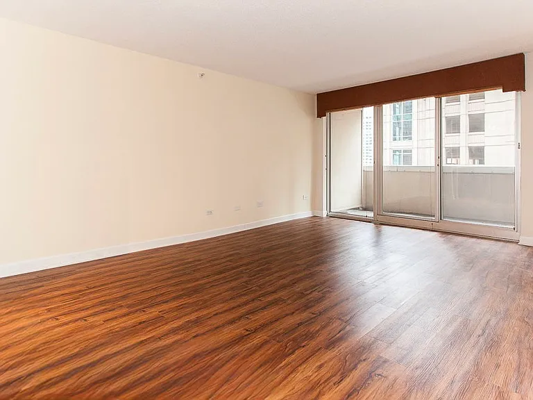 545 N Dearborn St #902 — Photo 5