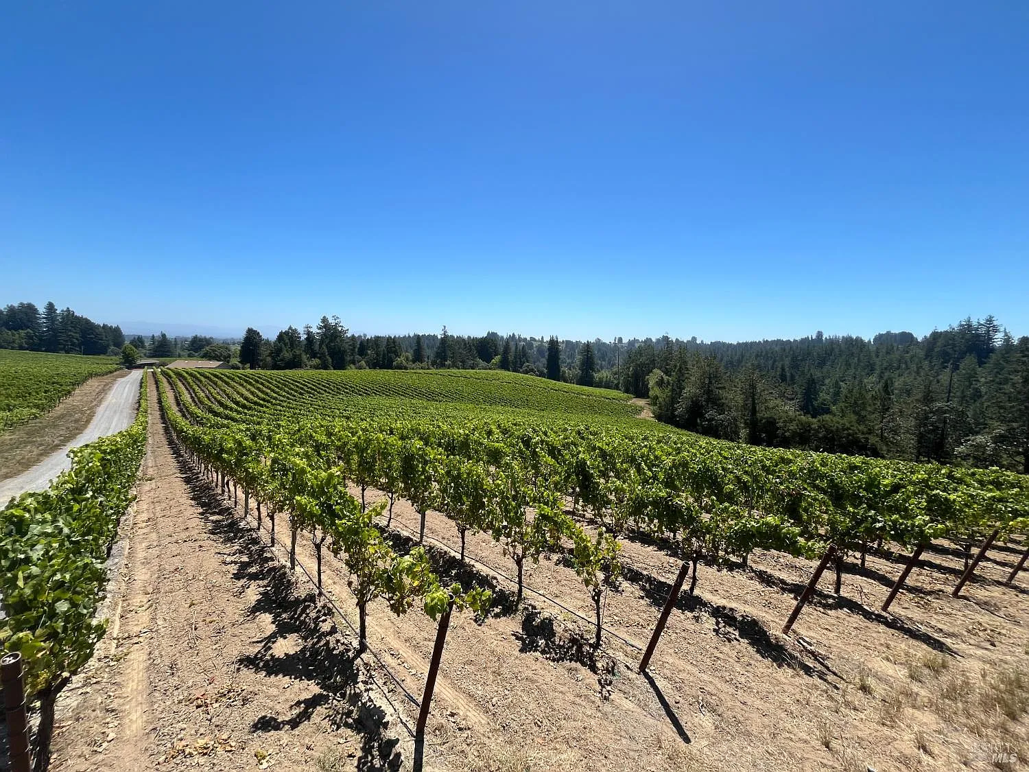 11480 Graton Road - Photo 1