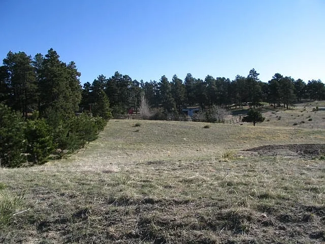19955 Warriors Path Dr — Photo 8