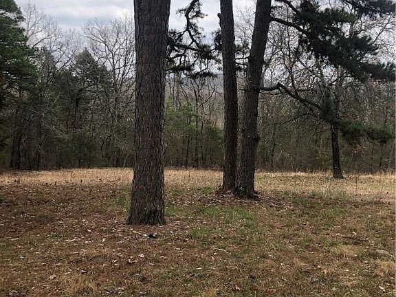 3rd image of County Road 2281