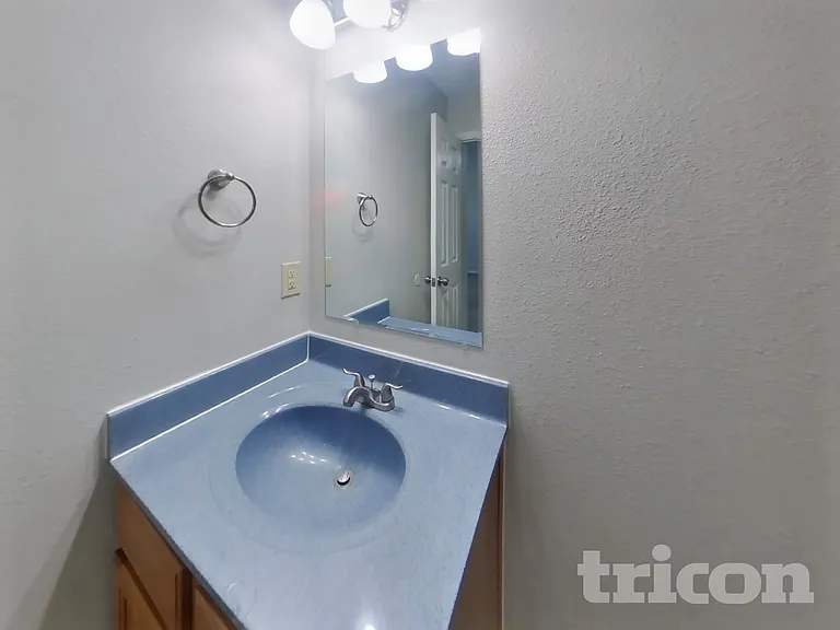 756 Hickory Pine Dr — Photo 17