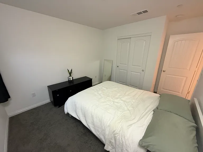 471 Desoto Falls St — Photo 8