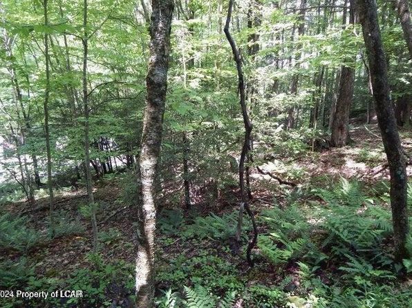 1 & 2 Sparrow Rd, Harveys Lake, PA 18618