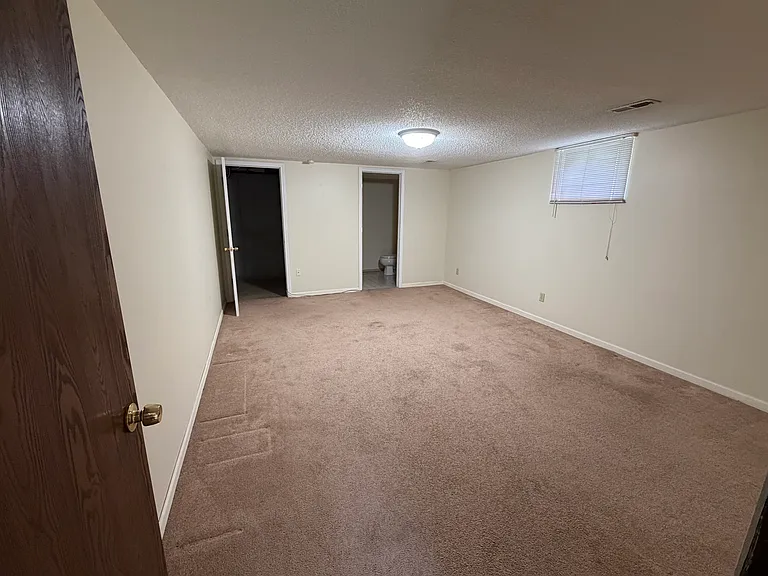 Bonus room downstairs
