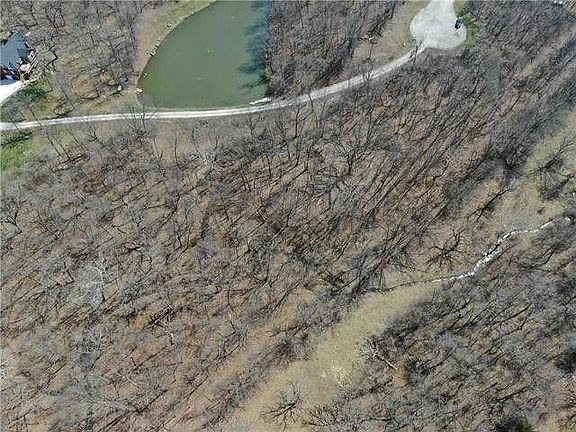 4th image of 13023 Timberland Dr