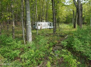 85 Thunder Hill Rd, Rensselaerville, NY 12147