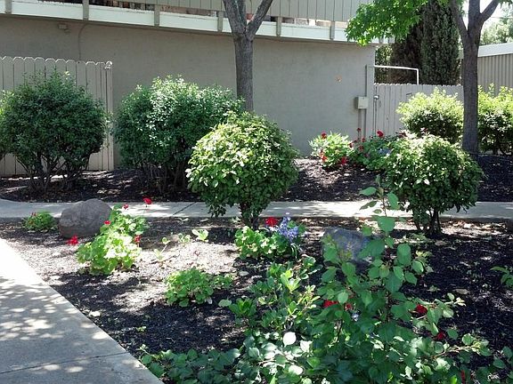 Entrance on Bassett Road